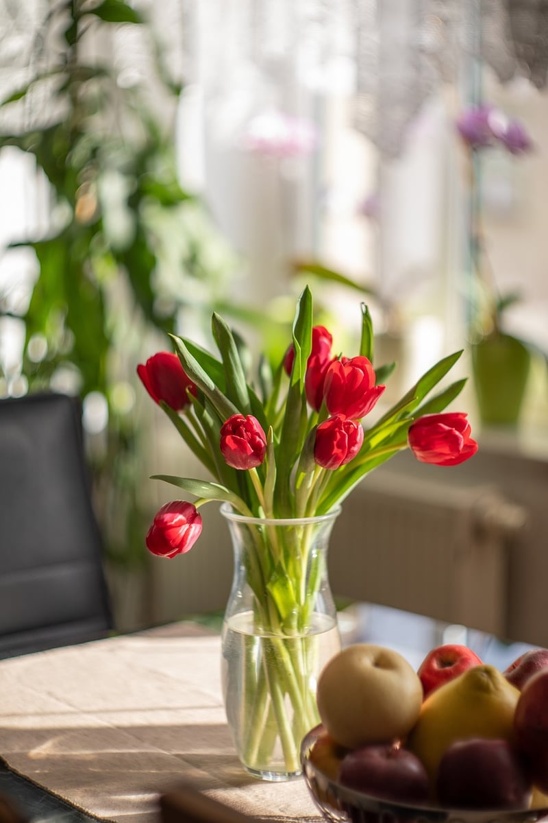 Sustainable Home Decor
